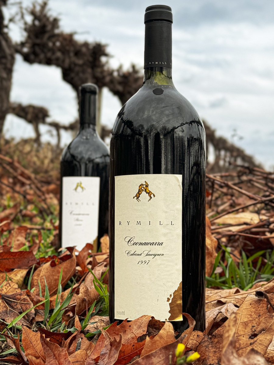 RymillWinery's tweet image. With our 2004 Cabernet Sauvignon coming back in July, I got curious about what else is in our cellar. Then I find them! Are they still drinkable or are they over the hill? Maybe we won't know until we open them. Makes me wonder if we can savour a bit more of the past. #coonawarra