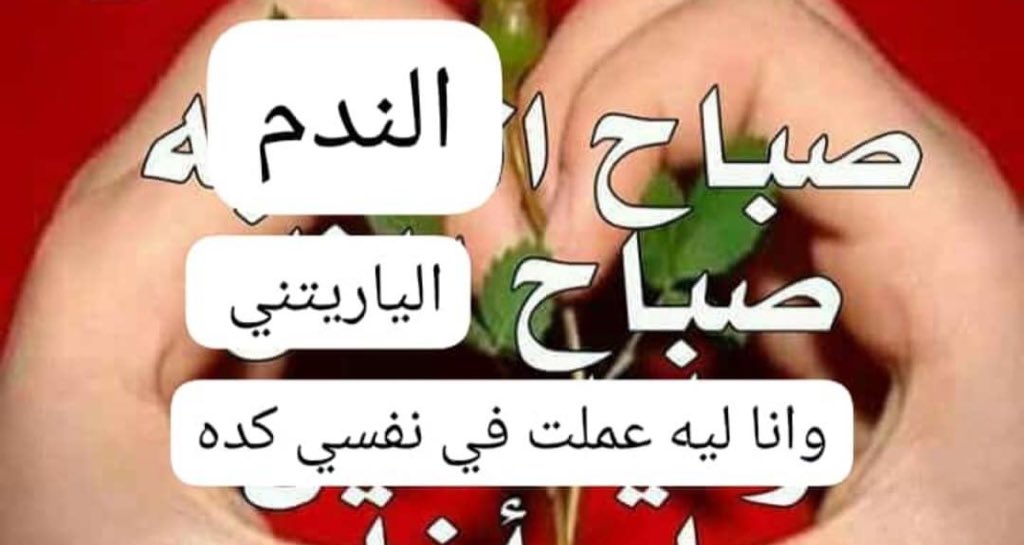 عبدالرحمن⛄ (@abdulrahman_h20) on Twitter photo 