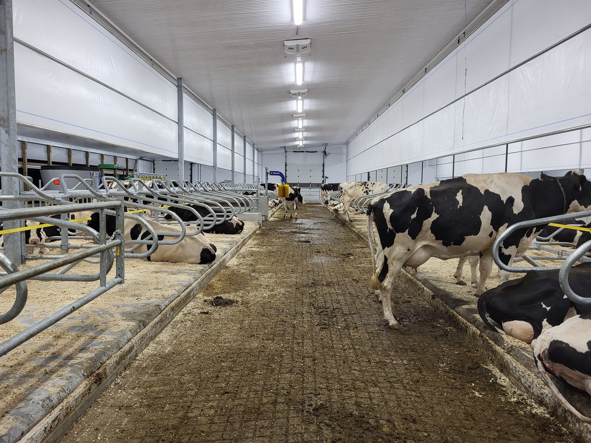 jkoot777's tweet photo. As promised startup #2 of the week, Silverholme Holsteins. This young night crew got us done before midnight. 
Another 2 V310s in a tunnel ventilated guided flow setup! 
#dairydonewell https://t.co/s7YngMcBZ8