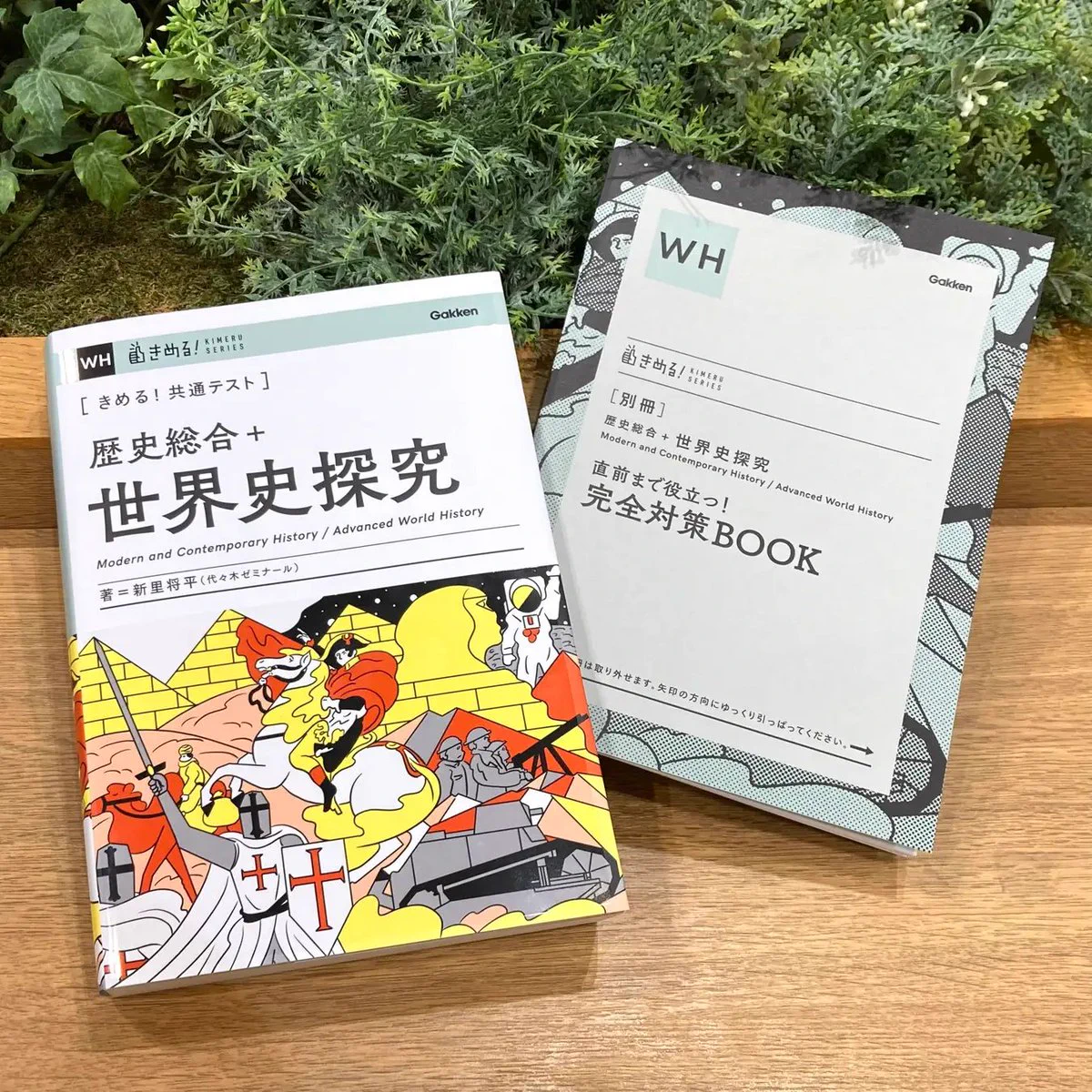 新里将平 (@WOrlD_His_Tory) / X