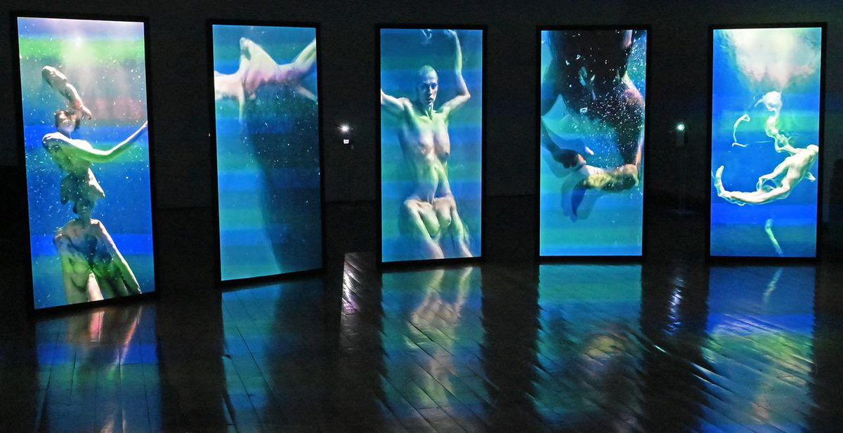 Instituto Nacional de Bellas Artes y Literatura tweet media