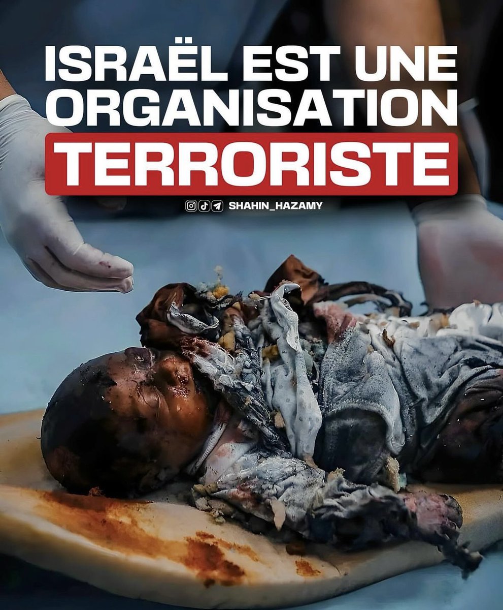 69330_mesyeux_'s tweet photo. #CeasefireInGazaNOW
#PalestineWillBeFree
Nous dénonçons le #Zionism qui n’a rien à voir avec le #Judaïsme‼️
RT svp
🙏🤲❤️😪🇵🇸🇵🇸🇵🇸
#WestandwithPalestine 🇵🇸❤️
#WestandwithPalestine 🇵🇸❤️
#GazaAttack #ResistanceEconomique #ZeroConso4Peace #ZeroConso4Gaza
#Gaza #Gaza_Genocide https://t.co/9sipWGwjoI