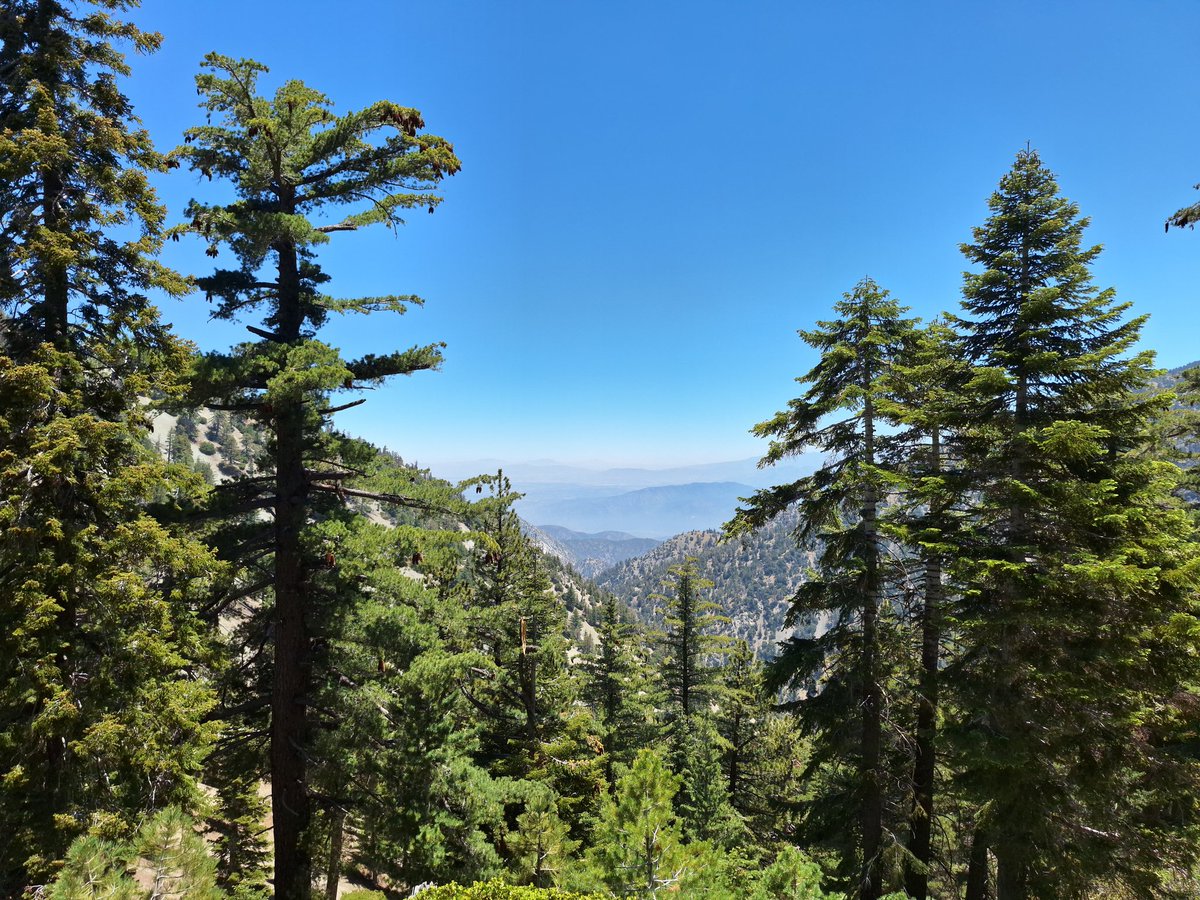 Sehrten1's tweet photo. I went on a short 7-mile hike up to Cucamonga saddle to test some gear for my next adventure. I wish I could have stayed longer. Met some cool folks on the trail. https://t.co/5gT2VurqJf
