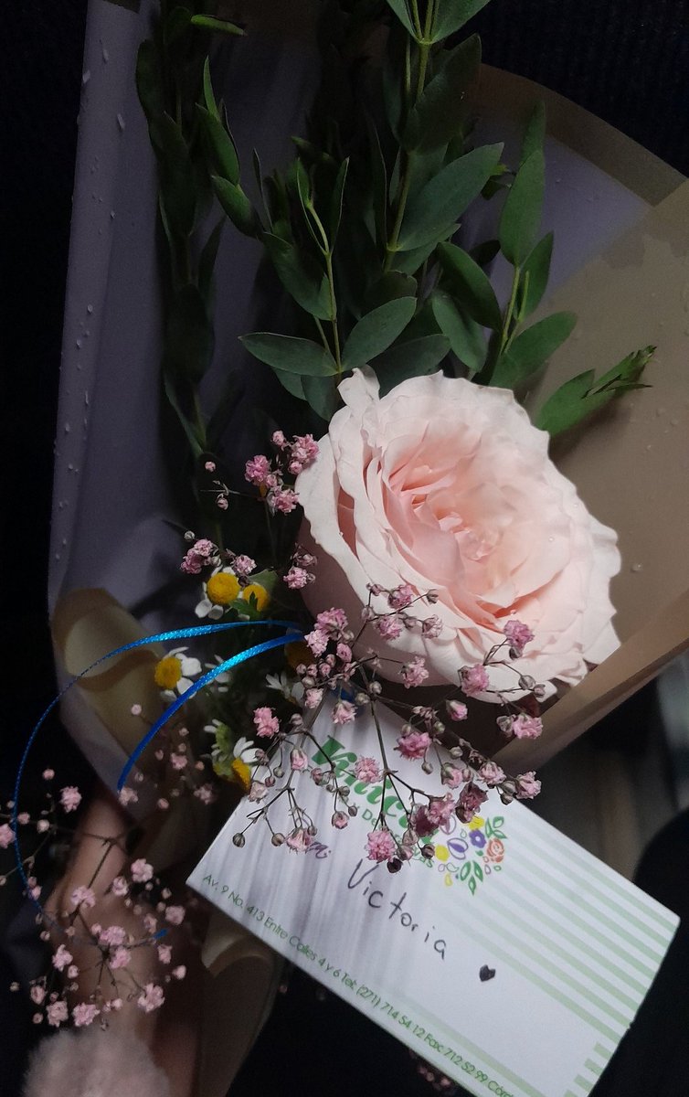 VicGMora's tweet photo. 🥰🥰🥰🩷 https://t.co/Fdksml9End