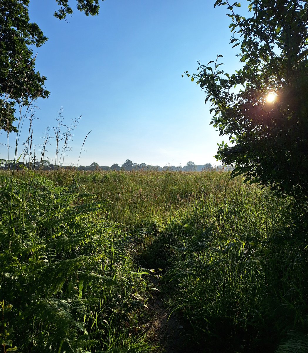 Brightest #summersolstice Blessings everyone!

✨️🌞✨️🌞✨️🌞✨️