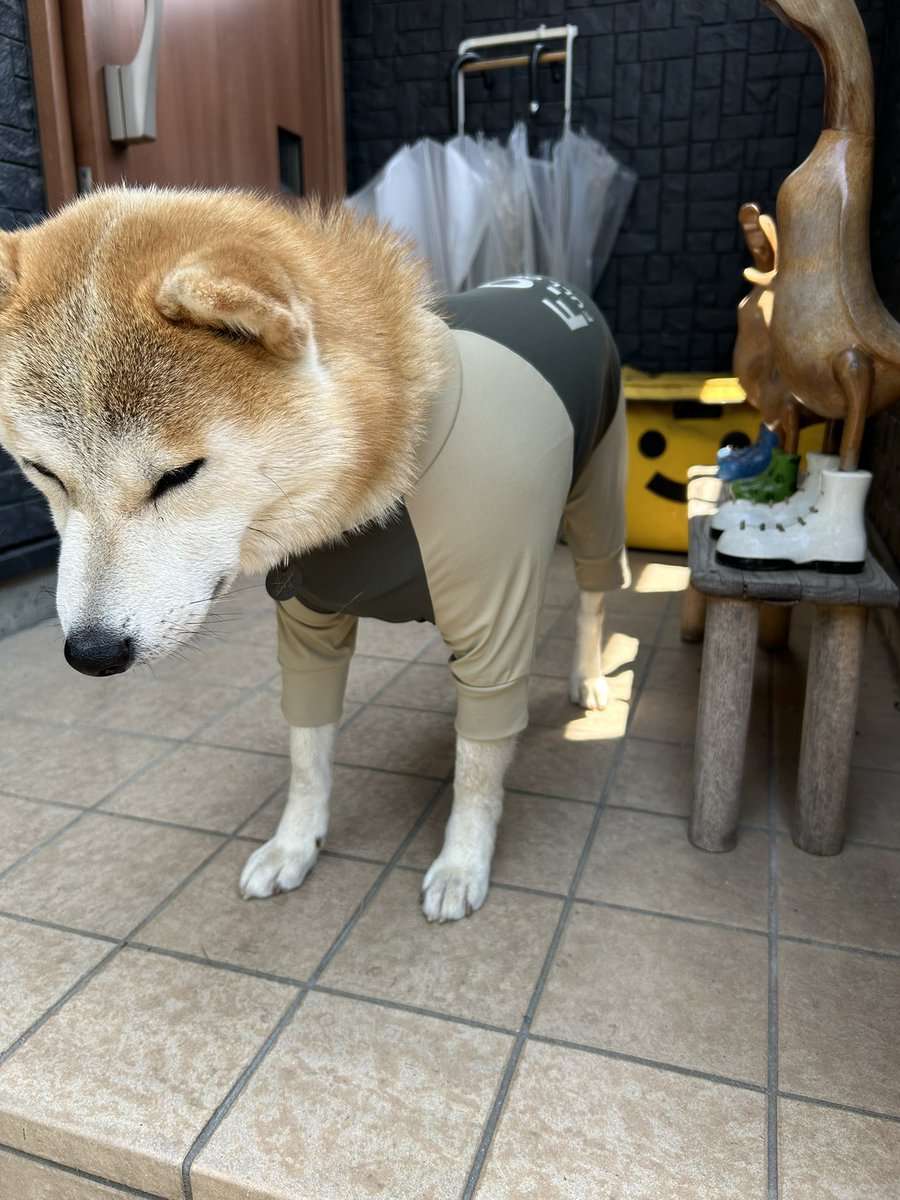 洋服デビューしたら何か落ち込んでる子😂