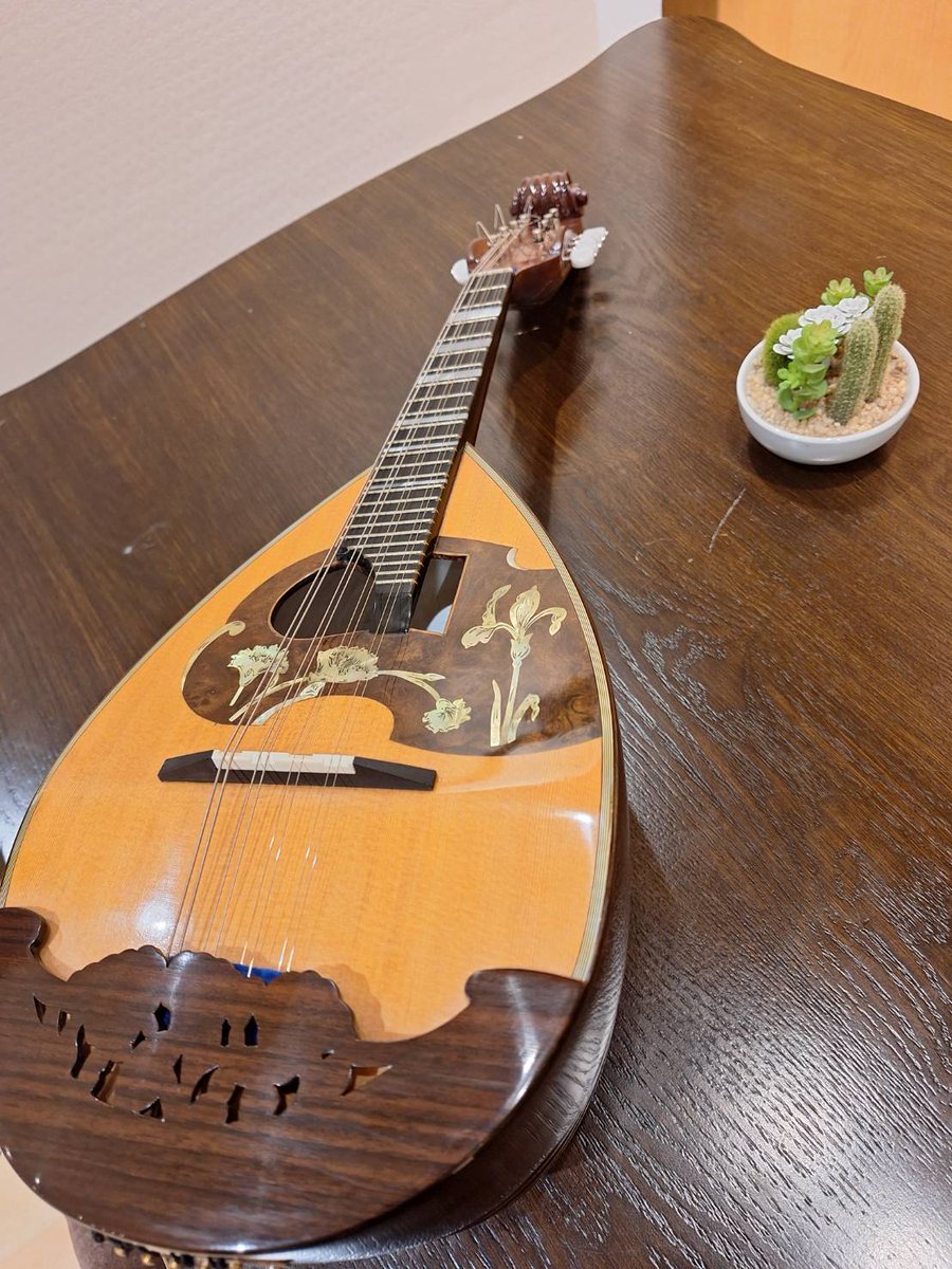 shima_kinshicho's tweet image. マンドリンのご紹介✨
#Calace 16bis Special はナンバーシリーズとクラシコシリーズをミックスした限定モデル！
ふくよかで全く新しいカラーチェサウンドの登場と言えます😊
表板杉の柔らかく表現力のある音色は #島村楽器 錦糸町マルイ店でしか体験できません👍
ぜひお試しください。
#カラーチェ