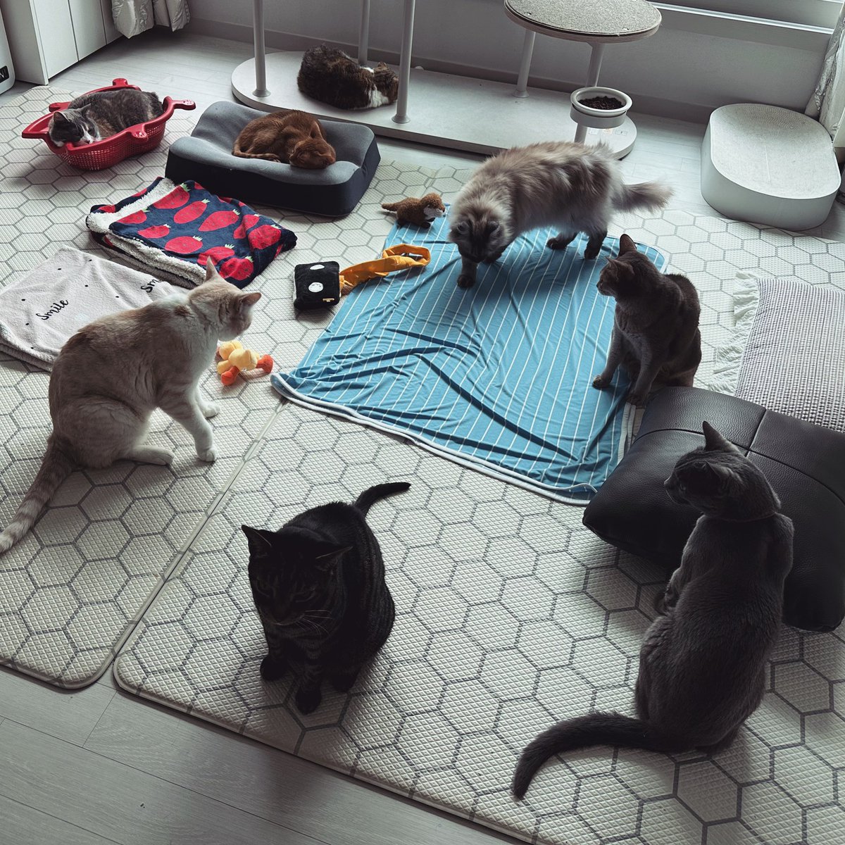 너무 더워요~~ 건강관리 잘 하세요!!🥰💕 종종 소식 들고 올게요❤️