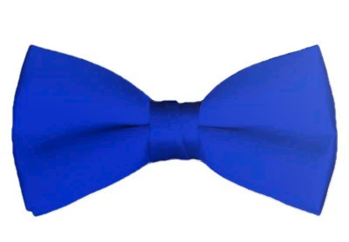 NatashaMalone's tweet photo. Bow ties are cool! Happy dickie bow Thursday! #bowtiesarecool #dickiebowthursday #ripsuperkev 💙 #efc https://t.co/3W9OaQcBIa