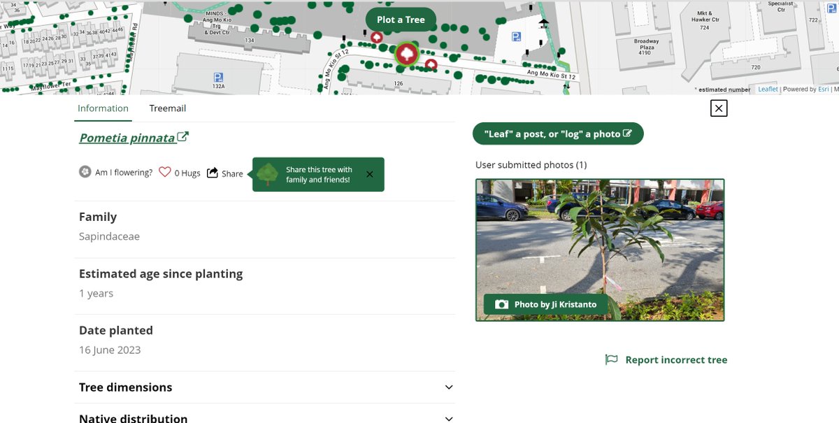 Dari thread ini, nemu reply kalau pohon di SG itu ada data mappingnya. Parah keren banget, bahkan ada estimasi umur pohonnya.