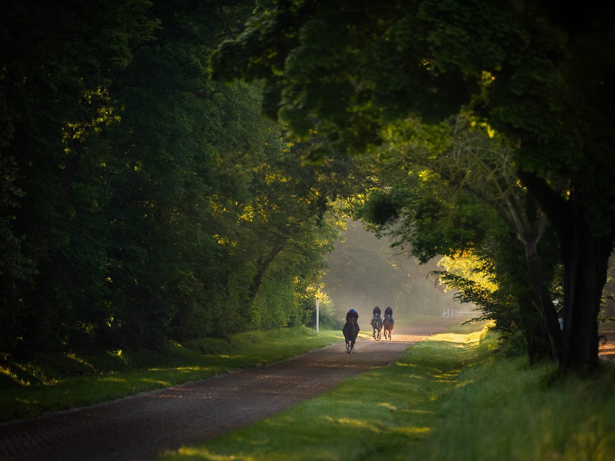 Magnifiques photos by:
Marc Chesneau Photographie Goodpix 
Pour l’essai d’un nouvel objectif 🤩🤩