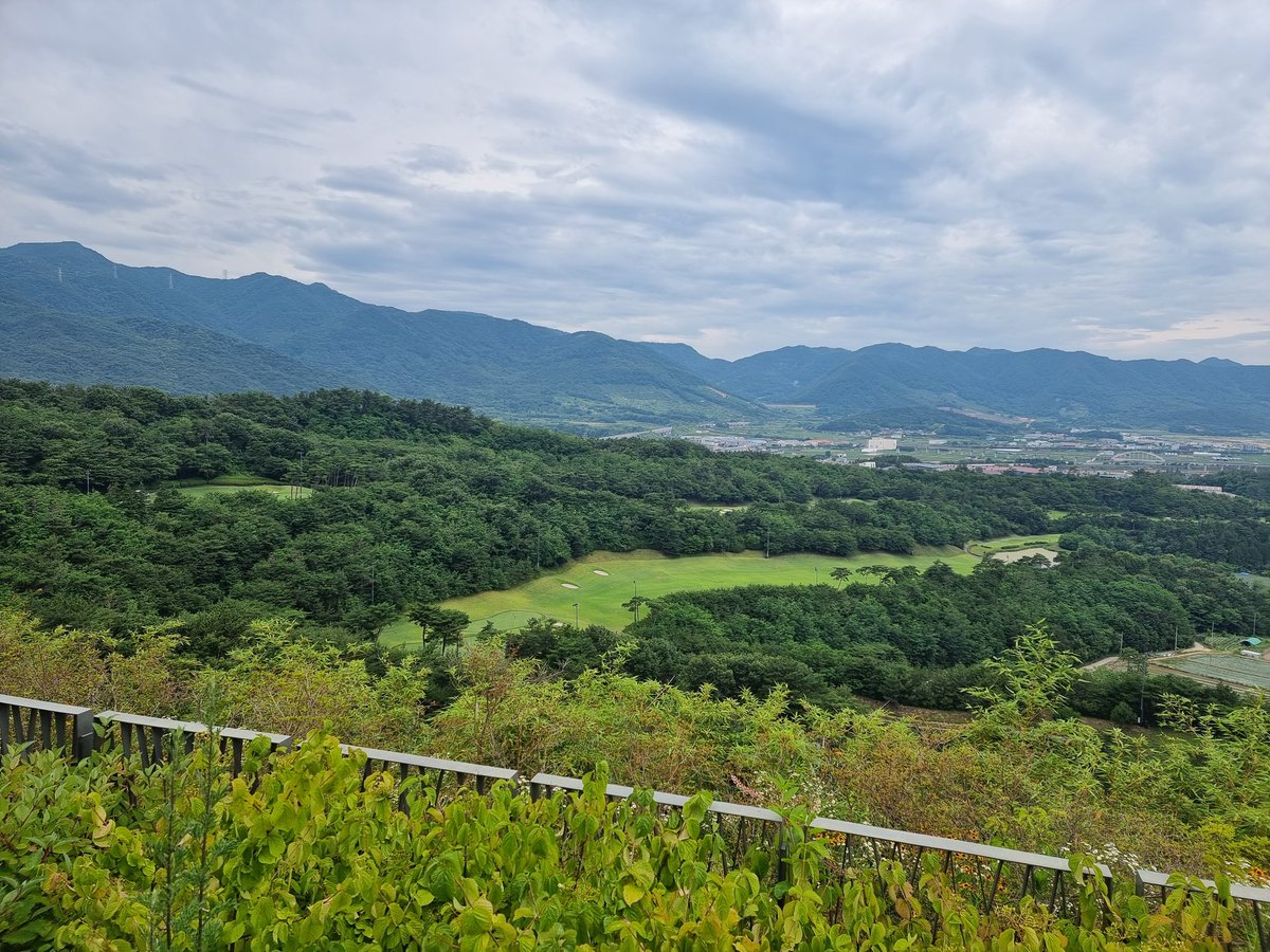 오늘은 김해포웰 왔네요~
이벤트를 해야는데 계속 80대를치니
백돌이가 이길 방법이없네~
핸디5개 준디는거 거부했어요.
핸디받고 이겨서 이벤트하면 찜찜해서~ㅎ오늘 이겨서 주말 이벤트 해볼게요.