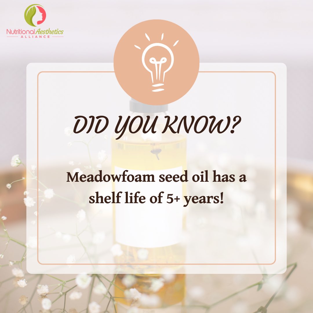 TheNAAlliance's tweet photo. Did you know that meadowfoam seed oil has a shelf life of 5+ years? Learn more here: https://t.co/U2K9XP4z8a 

#meadowfoamseedoil #carrieroil https://t.co/ozn8hn6hOJ
