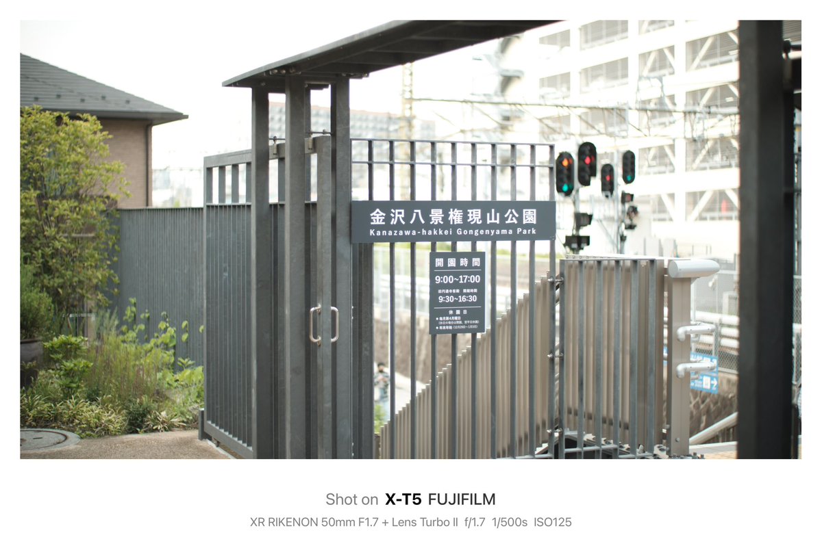 shosuga_info's tweet photo. 駅のホームから見えた古民家が今回散策したきっかけ。

Camera→FUJIFILM X-T5
Lens→XR RIKENON 50mm F1.7
Adapter→Lens Turbo Ⅱ
Film Simulation→Kodak Gold 200？

#rikenon50mmf17 #lensturbo2 #filmsmulation #kodakgold200 #金沢八景 #金沢八景権現山公園  #fujifilm #xt5 #オールドレンズ https://t.co/zkhaw44TX2
