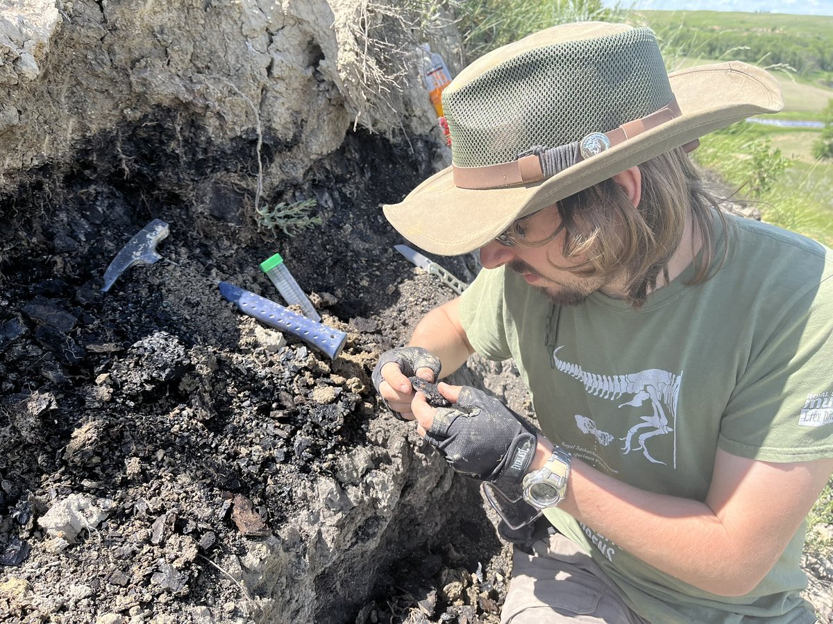 Jack Milligan tweet media