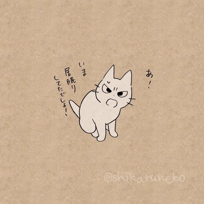 午後の眠気に耐えきれない人を叱ってくれる猫 