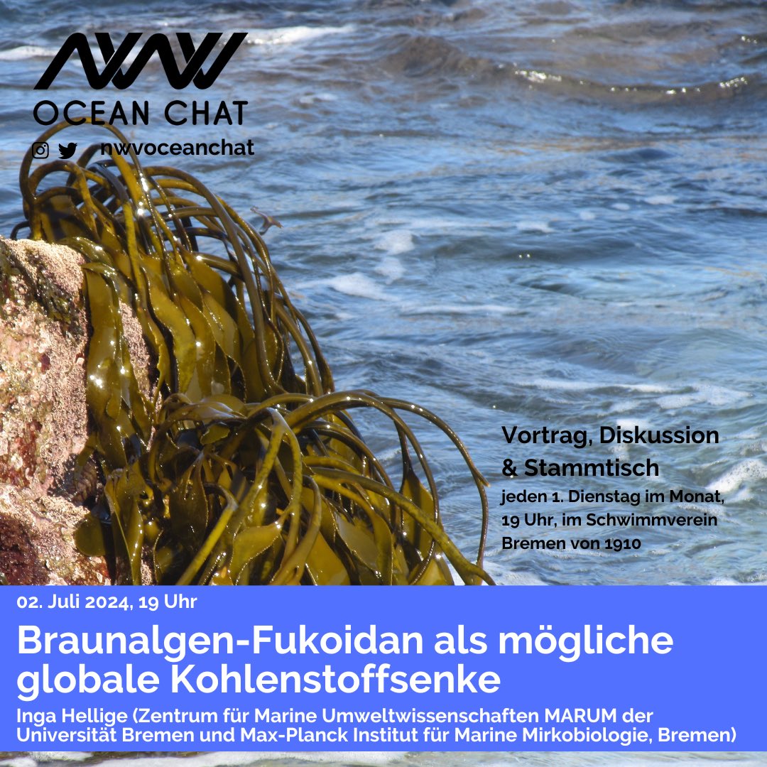 Am 2.7 wird Inga Hellige (Uni Bremen, Marum und <a href="/MarineMicrobio/">Max Planck Institute for Marine Microbiology</a>) über Braunalgen und Fukoidan sprechen. Dabei soll es besonders um Fukoidan als globale Kohlenstoffsenke gehen. Kommt also gerne ab 19 Uhr um Schwimmverein Bremen vorbei! 🌞