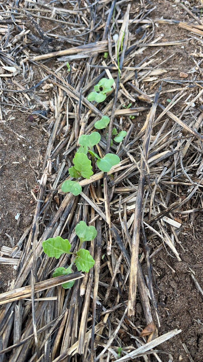 Sam Edwards tweet media