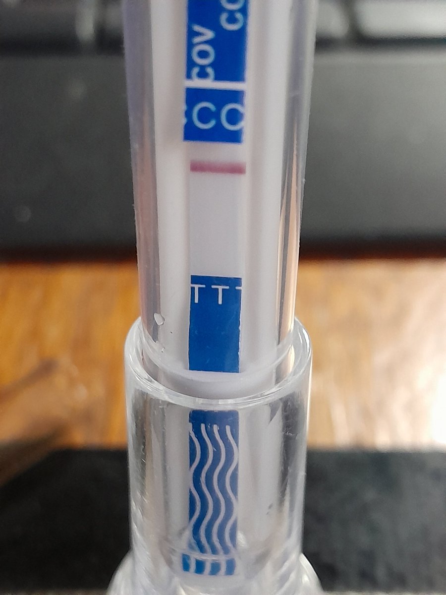 Dakta Green tweet media