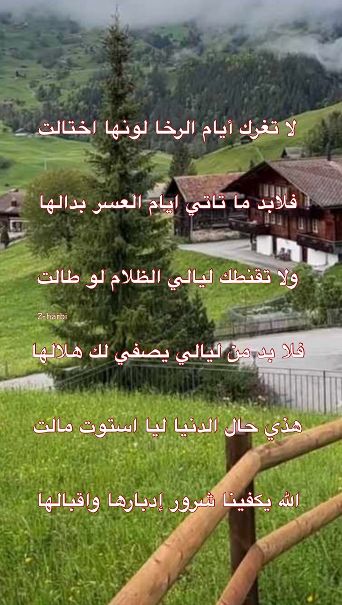 ابو زيد tweet media