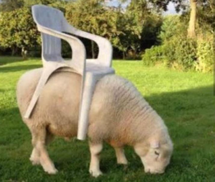 xeniatoolrental's tweet image. Need an upgrade over the old model below? Xenia Tool Rental RENTS AND SELLS Bobcat and Redmax riding mowers! 

Ever tried a zero-turn mower? They turn on a dime, and get the job done! Come in today and give one a spin! 
#BobcatMowers #redmax #zeroturn #ridingmower