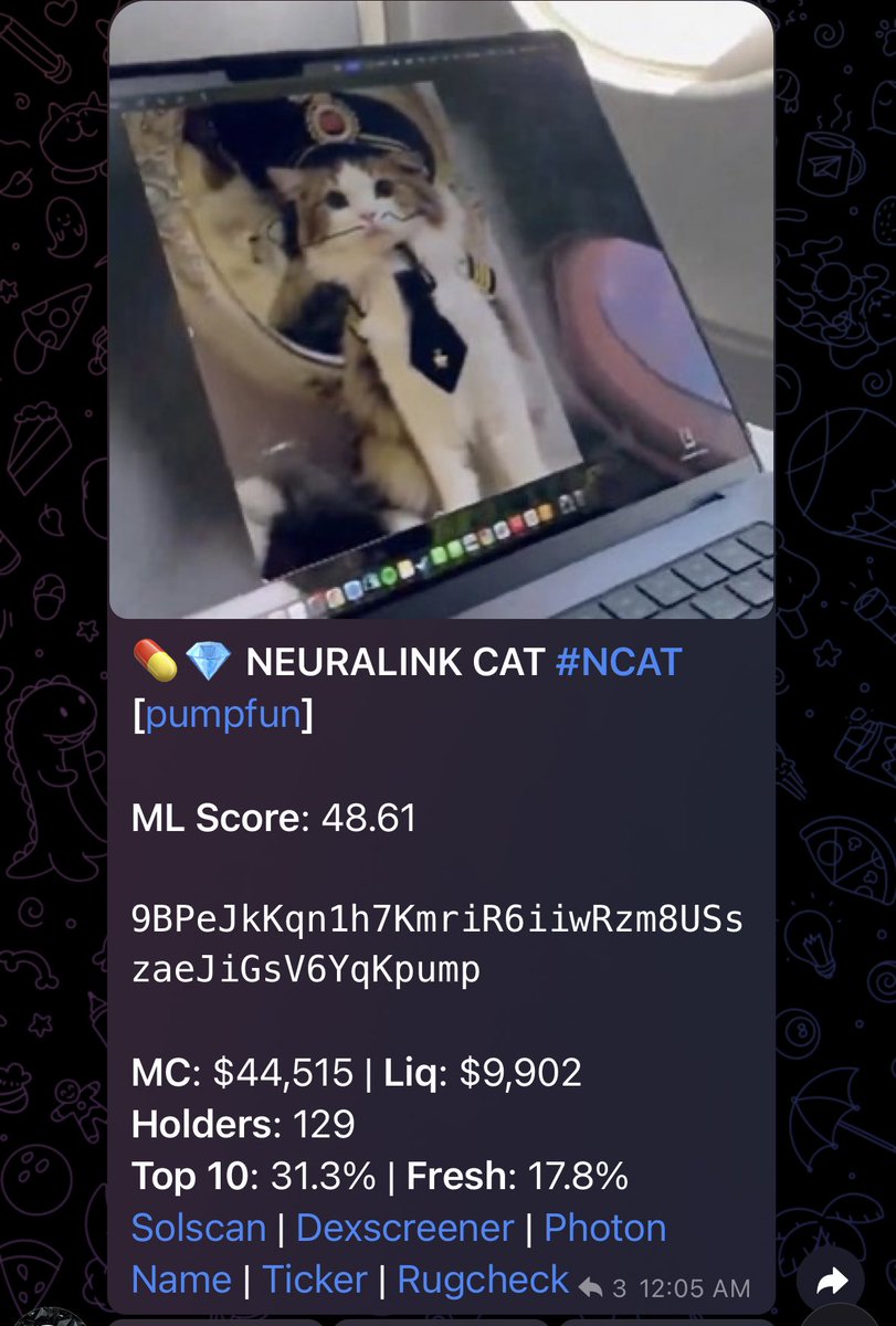 100xgemfinder's tweet photo. $NCAT NEURALINK CAT

44.5k -> 1M MC

22.5x and counting

Finder Bot + Twitter Feed is overpowered 💎

imagine Elon quote tweets this when he wakes up? https://t.co/R6mmY68szV
