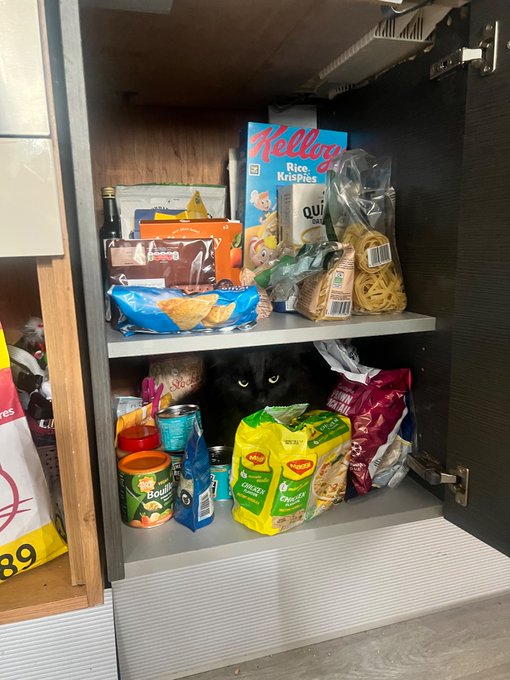 1 pic. Why do my snacks look mad? https://t.co/OjZRSlsIn6
