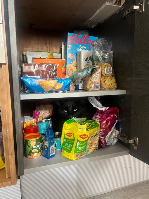 2 pic. Why do my snacks look mad? https://t.co/OjZRSlsIn6