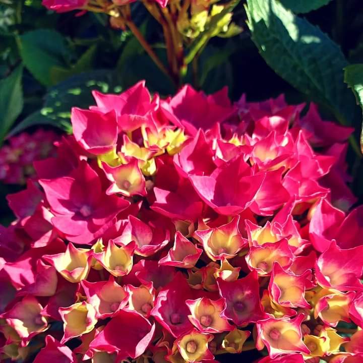 Sandrine Lorans (@colorsandar) on Twitter photo 