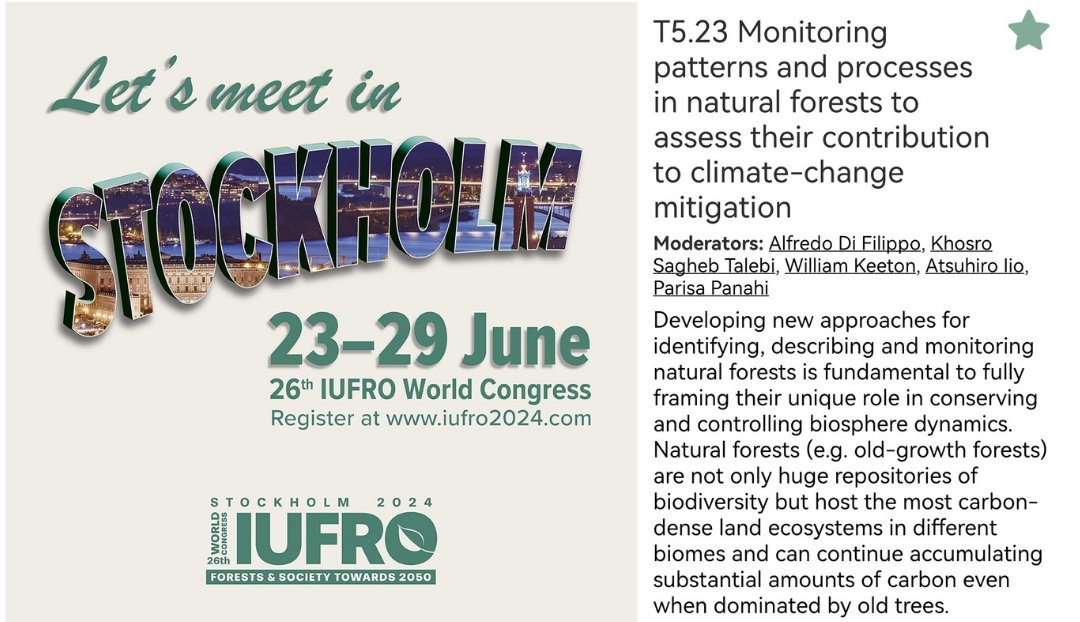 Less than one week for the World's Forest Congress #IUFRO2024! 

Pass by the session I'm organizing: #Natural #Forests are key for #climatechange mitigation!

4 poster sessions (Mon-Tue)
2 technical sessione with talks (Tue &amp; Thu afternoon)

#OldButGold