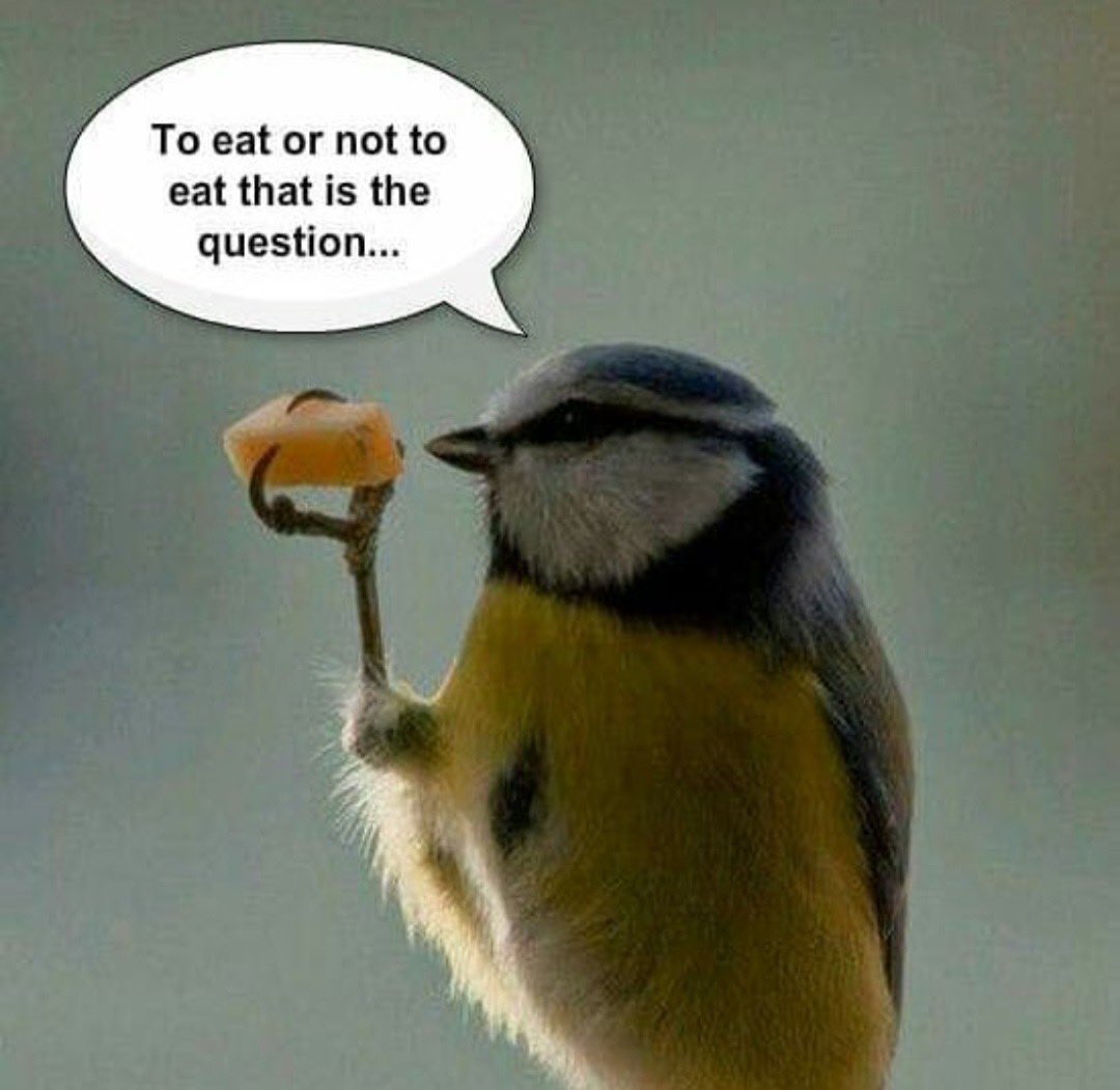 palmerdebra's tweet image. #dieting