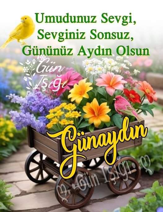 nlf16's tweet photo. Dünya, “güzel bir yer olsun” demekle güzelleşmiyor madem,
Sen güzel bir insan ol; dünya bir yerden güzelleşmeye başlasın…
Sevgiyle,
#Günaydın #perşembe #GodMorningWednesday
#gangłysego #kahve #loveIsland
😊🌹☕️🌹 #BITCOIN #Türkiye
#eamonryan 🌺🩷🌸⛵️⛱️☘️🌴🌸 https://t.co/Ph7uClwoc3