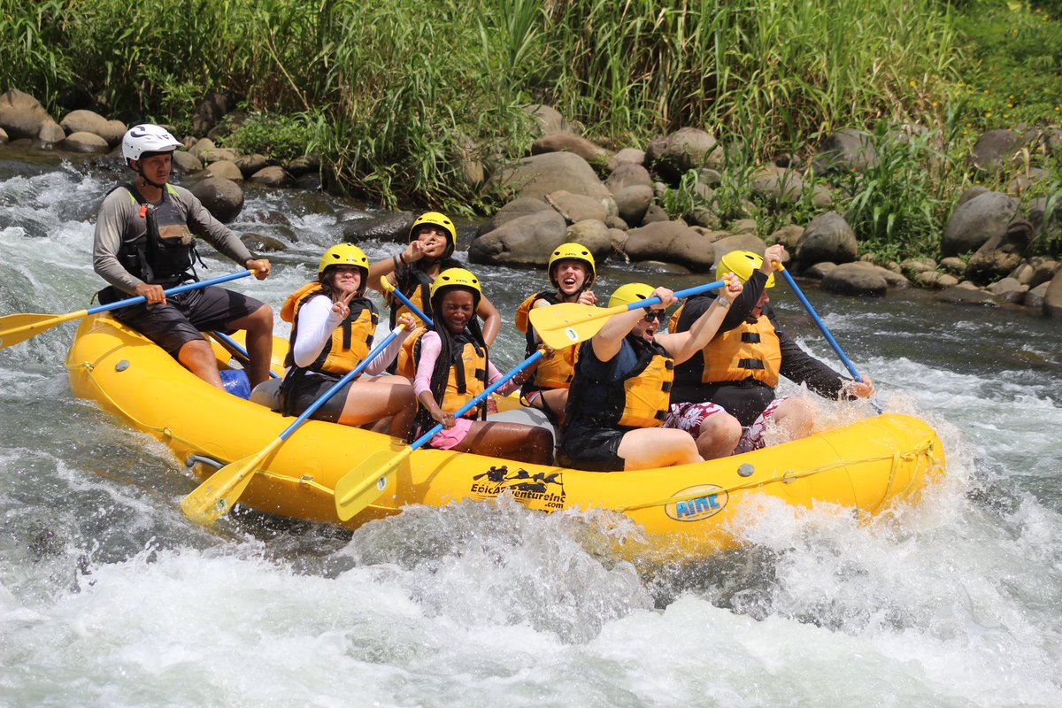 Kris Conway tweet media