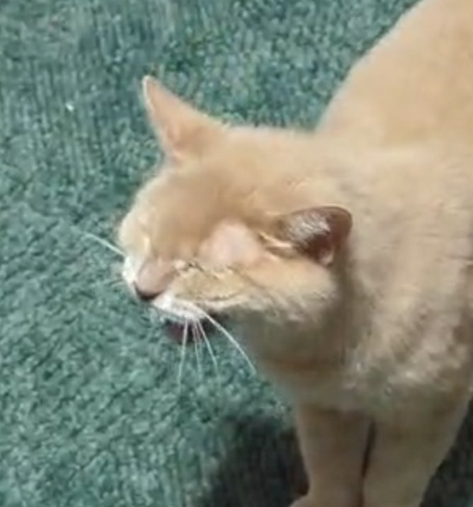 fern🎗️🍉 (@fernnemo) on Twitter photo 