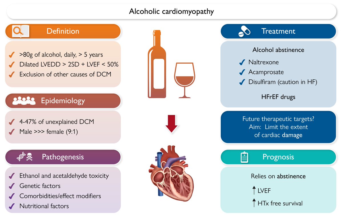 European Society of Cardiology Journals (@esc_journals) on Twitter photo Alcoholic #cardiomyopathy. A state-of-the-art review in #EHJ 👉 academic.oup.com/eurheartj/adva…
#EHJ <a href="/RoccoMontone/">Rocco Montone</a> <a href="/ehj_ed/">EHJ Editor-in-Chief</a> Alcoholic #cardiomyopathy. A state-of-the-art review in #EHJ 👉 academic.oup.com/eurheartj/adva…
#EHJ <a href="/RoccoMontone/">Rocco Montone</a> <a href="/ehj_ed/">EHJ Editor-in-Chief</a>