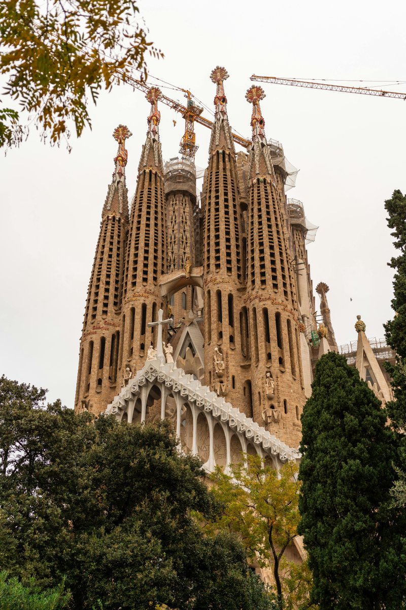 DeneenE461's tweet image. Hostal Live Barcelona #BarcelonaLove #BarcelonaNights