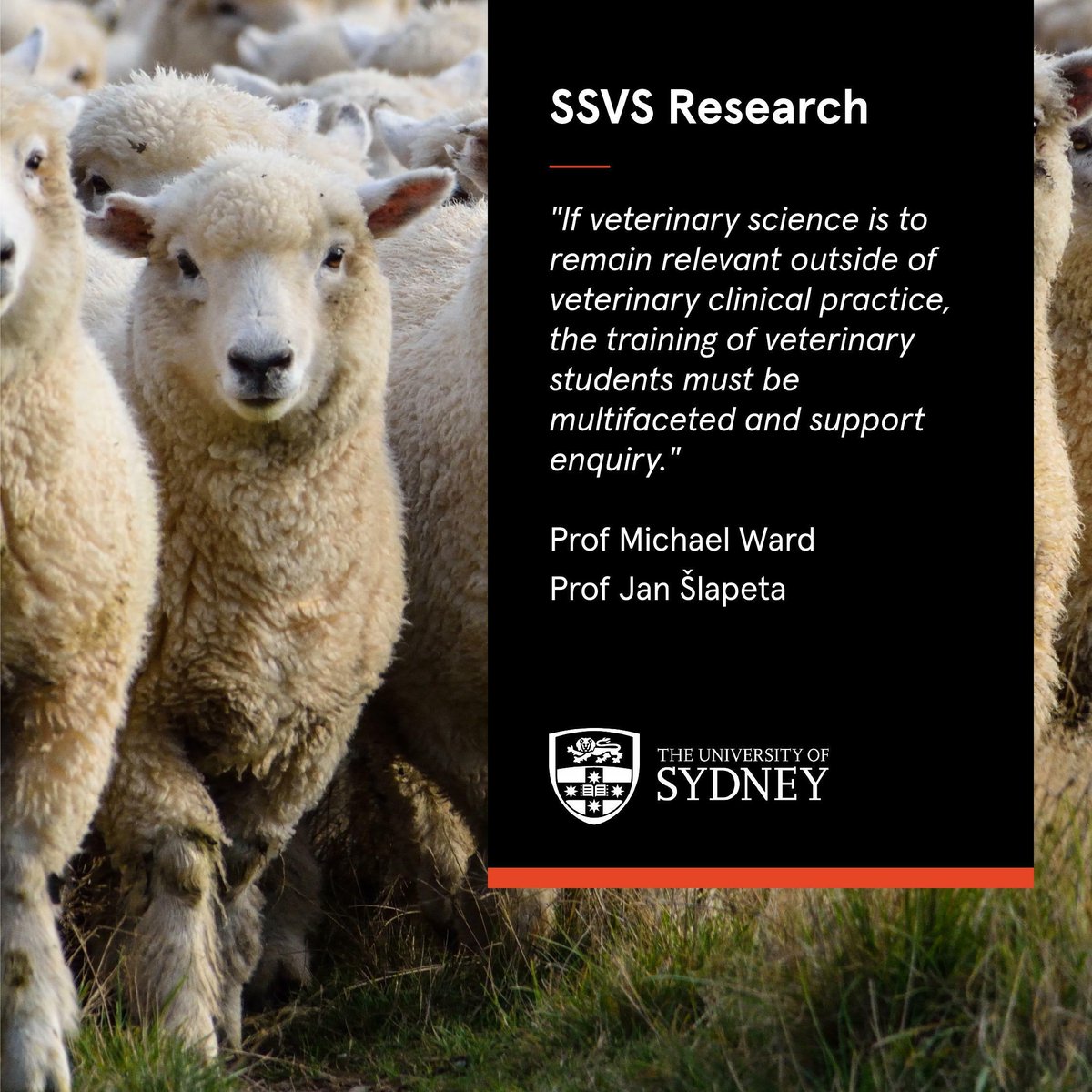 Sydney Uni Vet Sci (@sydney_vet) on Twitter photo 📢Didn’t you know? The annual research report <a href="/Sydney_Vet/">Sydney Uni Vet Sci</a> was released on Monday! <a href="/SydneyUni_Media/">Sydney Uni Media</a> <a href="/Sydney_Uni/">University of Sydney</a> <a href="/Sydney_Science/">Sydney Science</a>. Read it here:
issuu.com/cve.marketing/…
doi.org/10.25910/vf2j-…
#LeadershipForGood #ScienceLeaders #1inAustralia #GoSSVS 📢Didn’t you know? The annual research report <a href="/Sydney_Vet/">Sydney Uni Vet Sci</a> was released on Monday! <a href="/SydneyUni_Media/">Sydney Uni Media</a> <a href="/Sydney_Uni/">University of Sydney</a> <a href="/Sydney_Science/">Sydney Science</a>. Read it here:
issuu.com/cve.marketing/…
doi.org/10.25910/vf2j-…
#LeadershipForGood #ScienceLeaders #1inAustralia #GoSSVS