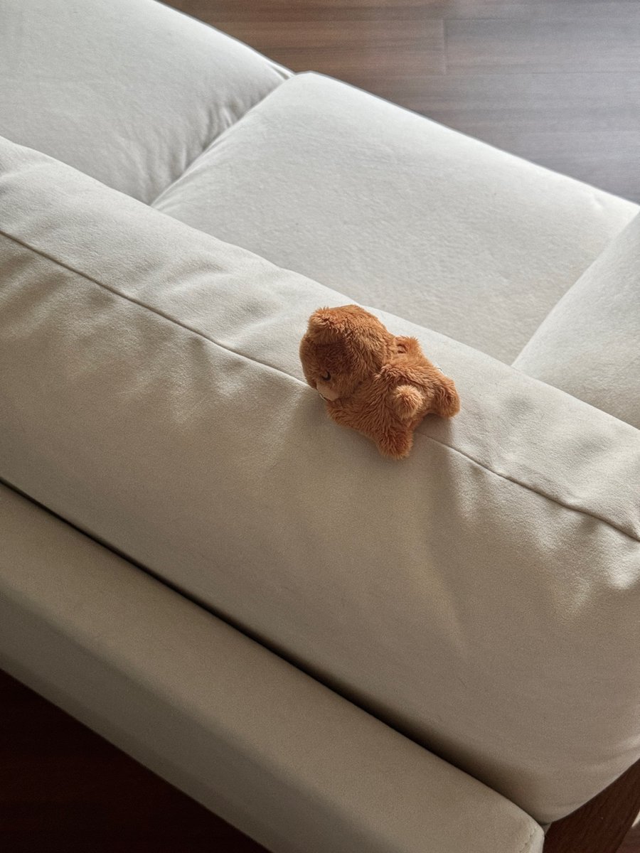 gomdo_lee_'s tweet photo. 이꿈도 새 이름 어때요? 🐻🛌💤 https://t.co/g5NWQf2rtF