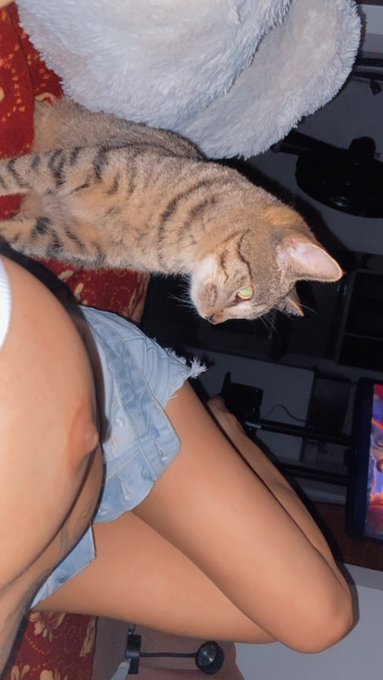 C&oacute;mo se hacen los beb&eacute;s?😳 Comenta ejemplos https://t.co/sm2tpOITDj<a href="/tag/onlyfans"class="tags"><span>#onlyfans</span></a><a href="/tag/felizmi%C3%A9rcoles"class="tags"><span>#felizmi&eacute;rcoles</span></a>