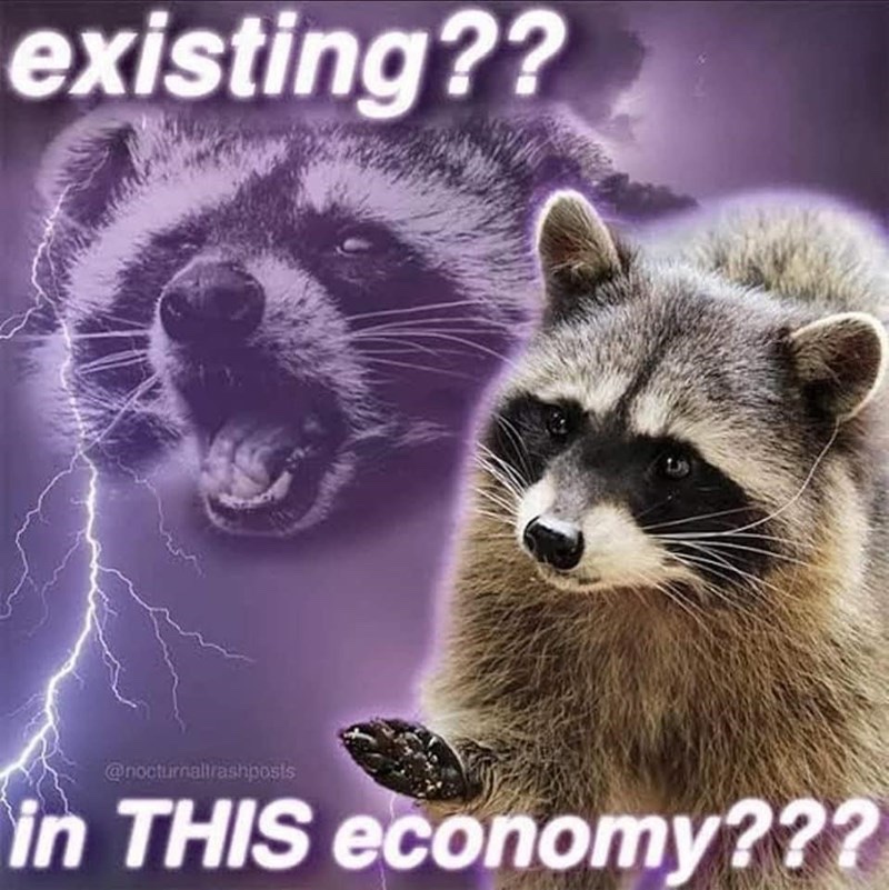 raccoon aesthetic. (@raccoonesthetic) on Twitter photo 