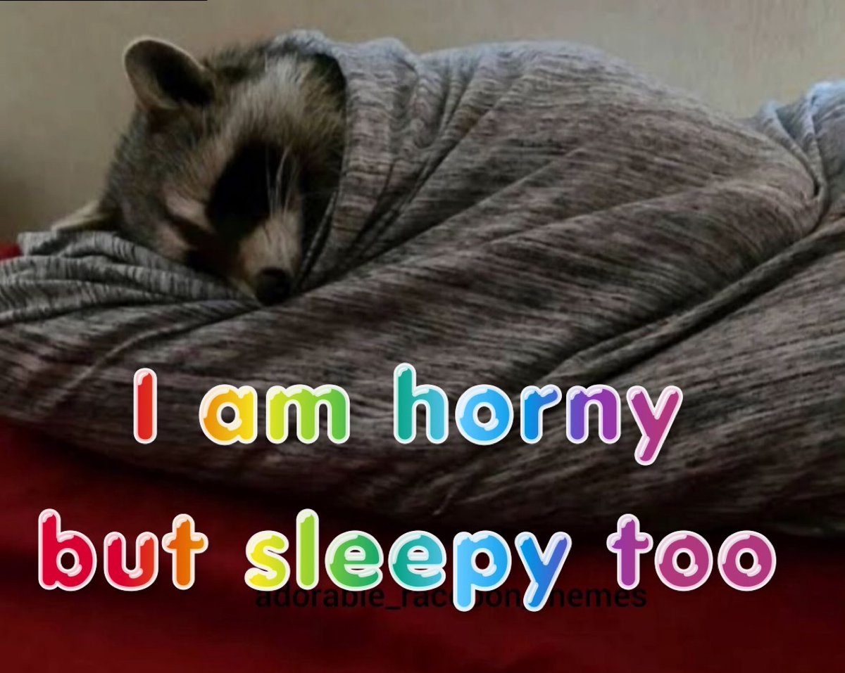 raccoon aesthetic. tweet media