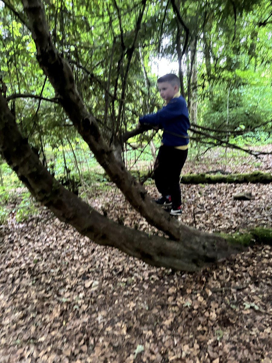 MissMcCallumMPS's tweet photo. We had a lovely woodland walk, enjoying the beautiful scenery. https://t.co/QTNT4L3bdh