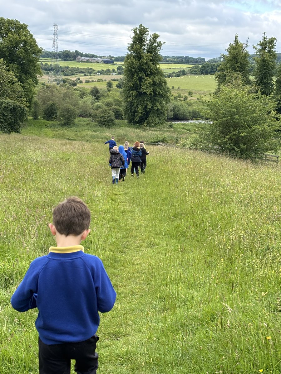 MissMcCallumMPS's tweet photo. We had a lovely woodland walk, enjoying the beautiful scenery. https://t.co/QTNT4L3bdh