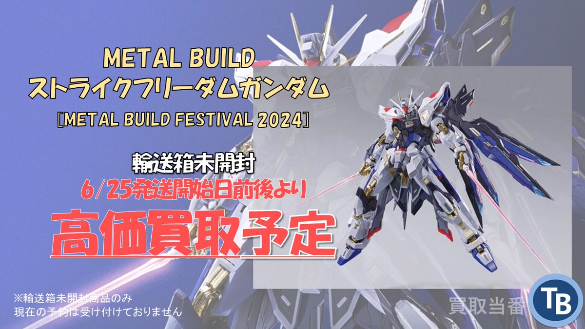 新品未開封METAL BUILD ストライクフリーダムガンダム2024
