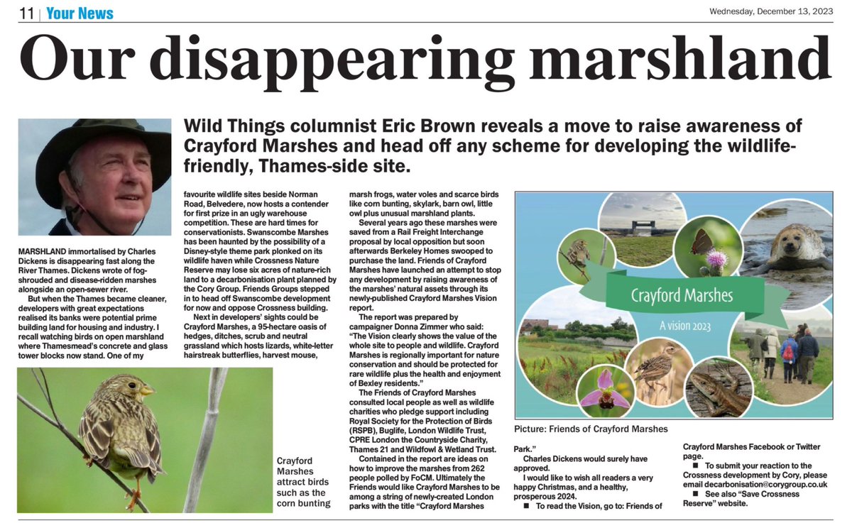 Donna Zimmer tweet media