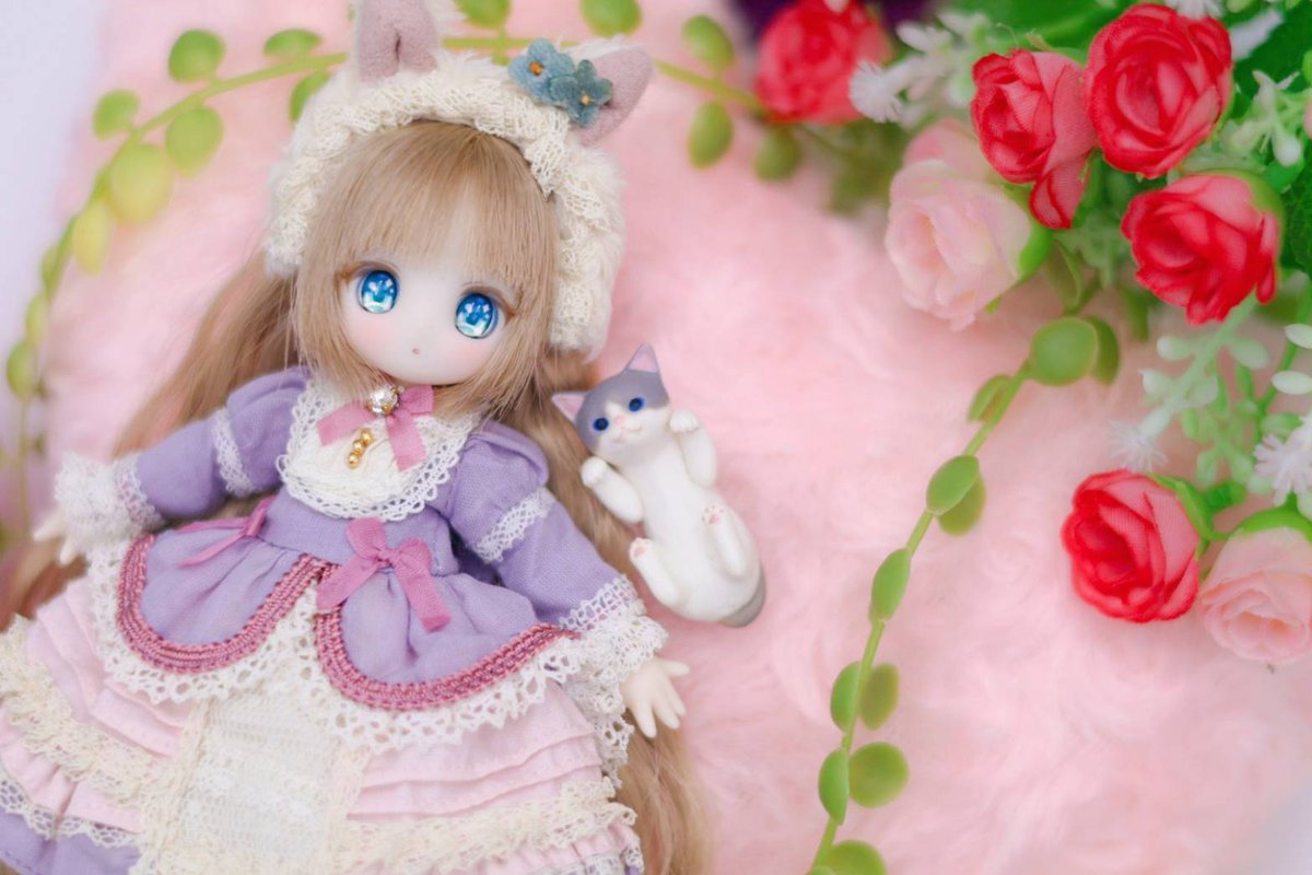 🐱🍫💕
#アゾカツ #シュガカツ 
#シュガーカップス 
#ショコラーラ