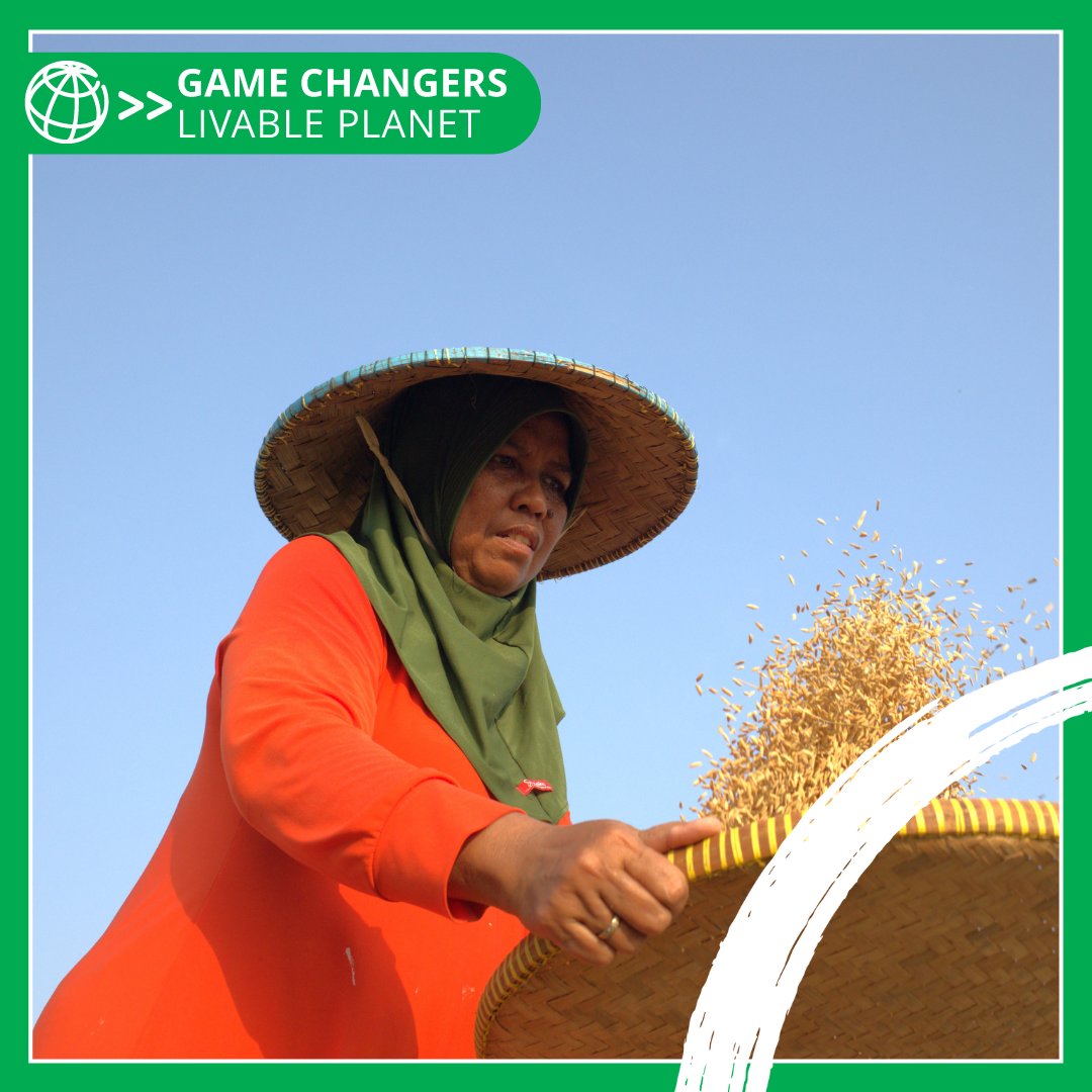 WorldBankGroup's tweet photo. By 2050, food demand will surge by 50%, and water demand by 30%. With 2.3 billion already facing water stress, action is urgent.

We've invested $7 billion to support farmers with sustainable and climate-resilient irrigation: https://t.co/YJrjDhKWKe #LivablePlanet https://t.co/dYVJ7qSy4V