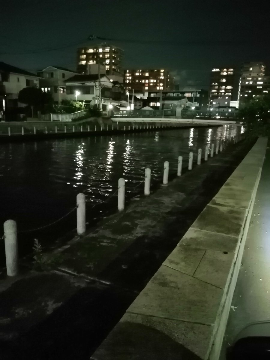 しごおわEBG河口付近

誰もやってるの見た事ないけど、カニヘチの可能性はある?

シーバスは直ぐ先の橋の下や護岸際で釣った事はありますが、いかんせん通行人が多くて視線が気になる小心者の自分には別の意味で難易度が高く😅

しかし釣れたらちょっとドヤれるんですがw