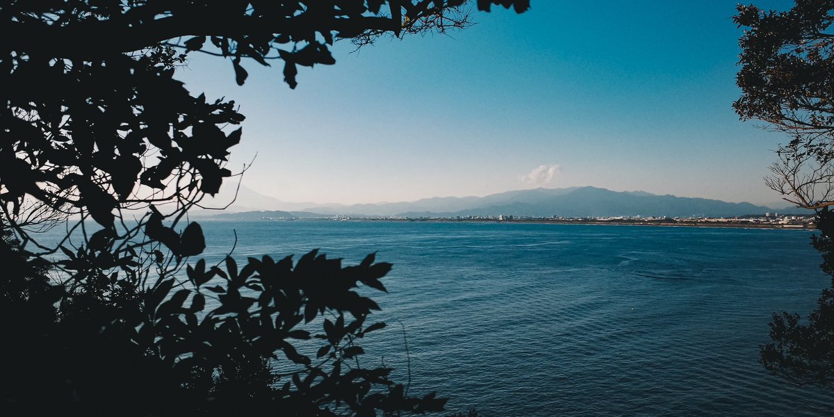 横尾 涼@Photoli tweet media