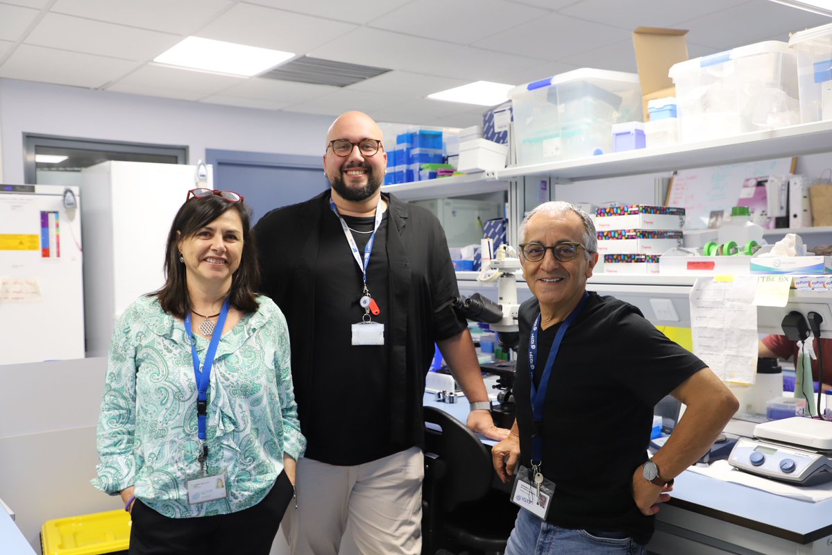 BadalonaMati's tweet image. Científics de l&apos;@GTRecerca mostren el paper clau de la melsa i les vesícules extracel·lulars en la malària.

Segons Alberto Ayllón, cada any es produeixen 600.000 morts i uns 250M d&apos;infeccions. Malgrat aquí es va erradicar als 60, té una forta incidència arreu. #Badalona @bdncom